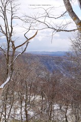 P1170424t