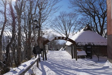 P1170427t