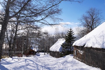 P1170446t