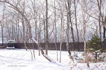 P1170473t