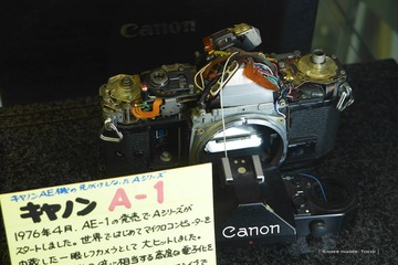 P1120821t