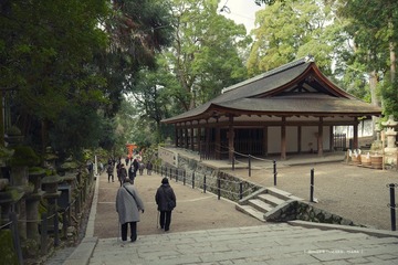 P1200353t