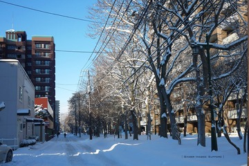 P1160540t