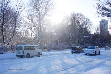P1160541t