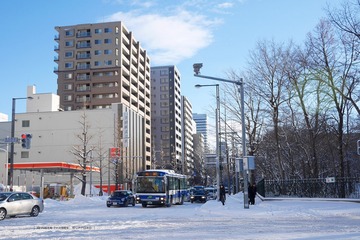 P1160553t