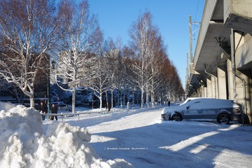 P1160568t