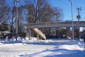 P1160577t