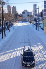 P1160585t