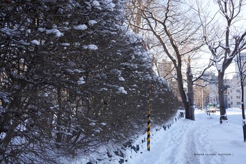 P1160593t