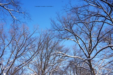 P1160634t