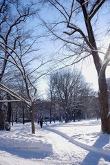 P1160639t