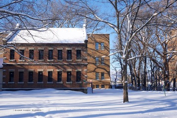 P1160646t