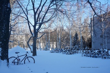P1160661t