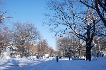 P1160662t