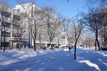 P1160685t