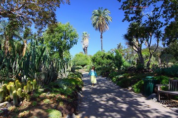 IMG_1065t