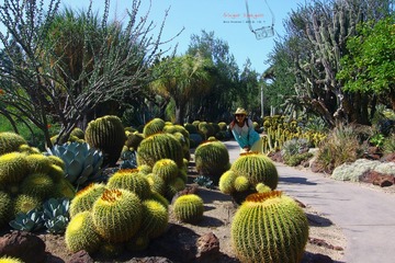IMG_1099t