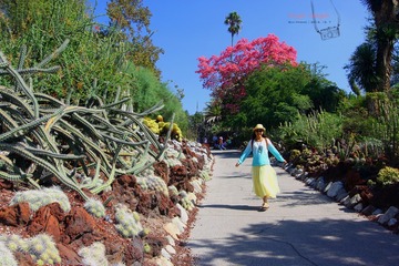 IMG_1102t