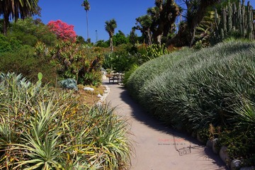 IMG_1125t