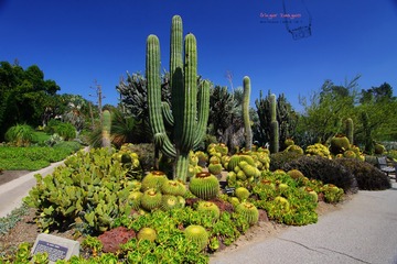IMG_1167t