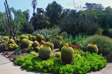 IMG_1170t