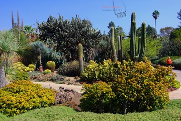 IMG_1172t