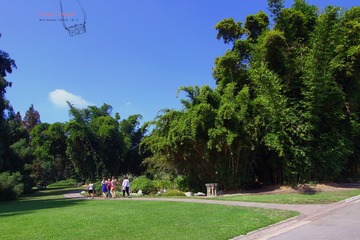 IMG_1174t