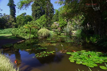 IMG_1195t