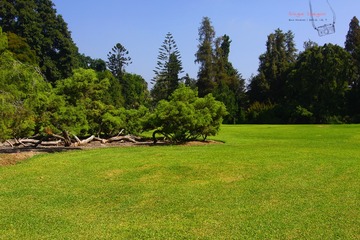 IMG_1204t