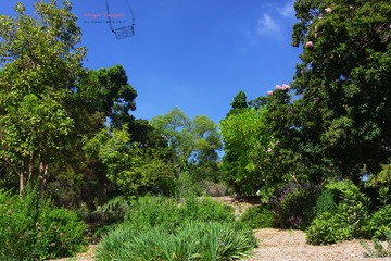 IMG_1213t