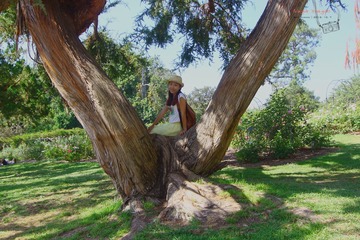 IMG_1248t