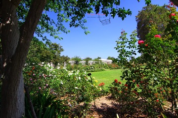 IMG_1262t