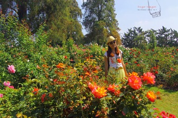 IMG_1272t