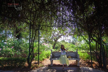 IMG_1296t