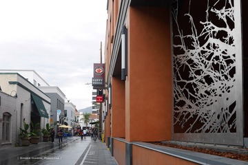 P1260435t