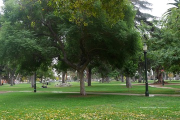 P1260444t