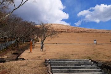 P1200493t