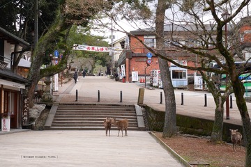 P1200532t
