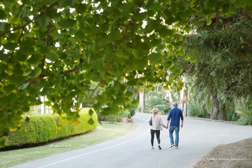 P1300152t