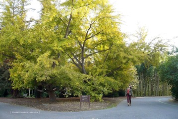 P1300199t