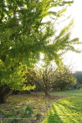 P1300417t
