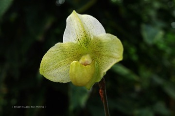 P1260700t