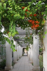 P1260720t