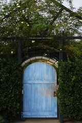 P1260723t
