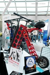 P1270160t