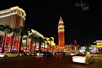IMG_3910t