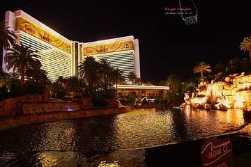 IMG_3944t