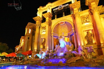 IMG_3964t
