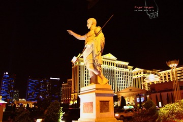 IMG_3970t
