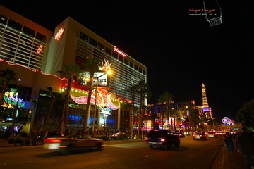 IMG_3971t